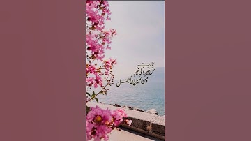 #عبدالرحمن_مسعد #عبدالرحمن_مسعد_تلاوة_جديدة #الشيخ #اكسبلور #المصحف #تلاوة_خاشعة #لايك