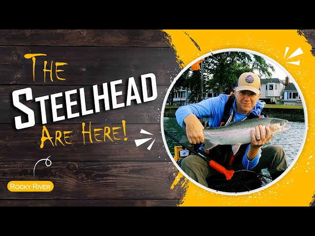 The Steelhead Are Here! Kayak Fishing the Rocky River for Pre