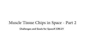 Muscle Tissue Chips in Space - Part 2 II Challenges and Goals