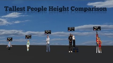 Tallest People Height Comparison. 3D