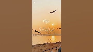 إن تعذبهم فإنهم عبادك -القارئ ياسر الدوسري ♥️🎧