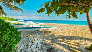 Smooth Bossa Nova by The Tropical Beach Paradies ~ Bossa Nova Jazz Melodies for Relaxation