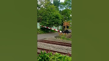Crossing Railroad #shorts #keretaapi #perlintasankeretaapi