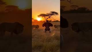 Savannah Showdown #EpicWildlife #NatureRaw #WildlifeDrama