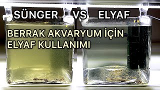 Berrak Akvaryum: Sünger vs Elyaf