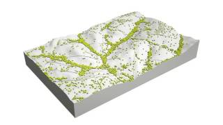Waterflow Simulation