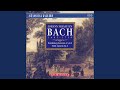 Miniature de la vidéo de la chanson Brandenburg Concerto No. 6 In B-Flat Major, Bwv 1051: Ii. Adagio Ma Non Troppo