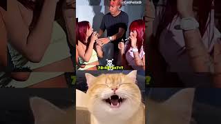 LAUGH and WATCH🙀😹 Part 20😻 #cat #funny #trending #shortfeed