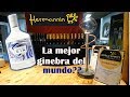 Visita a Hermannin viinitila + La mejor ginebra | Luli en Finlandia