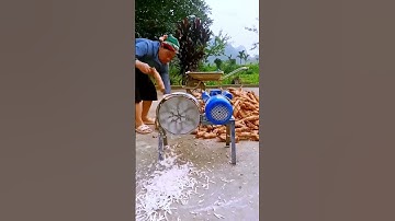 Cassava cutting process - good machinery can improve the efficiency of doing things