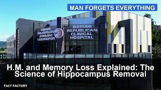 H.M. and Memory Loss Explained: The Science of Hippocampus Removal