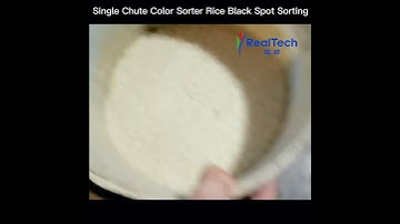 Rice Black Spot Sorting RealTech M64