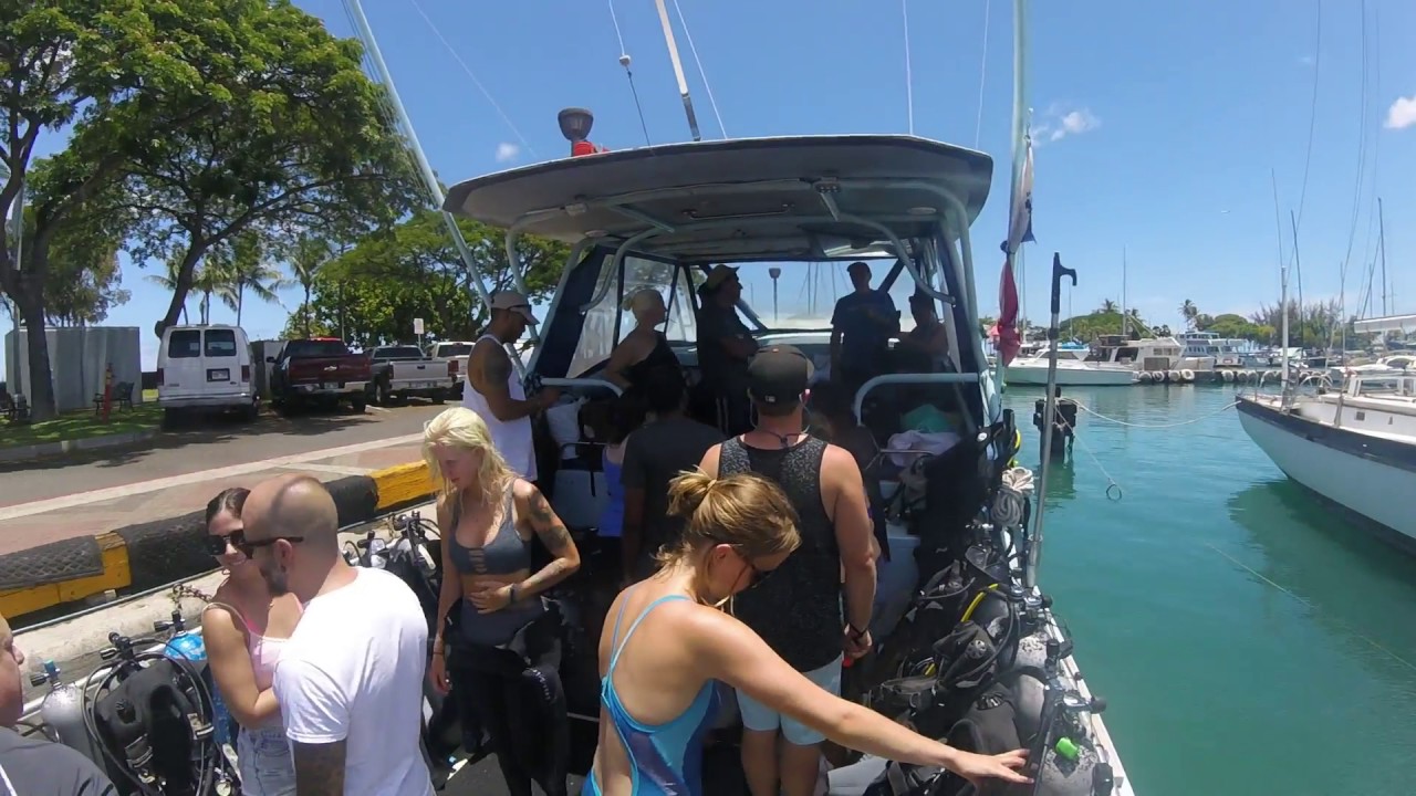 Scuba Diving Waikiki Dive Center YouTube