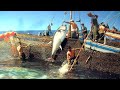 Can You Believe This Fishing? - BIG STINGRAYS