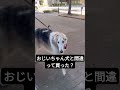 なんでもペットにする時代
