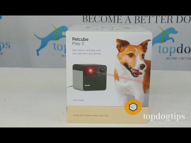 New Petcube Play 2 Dog Camera Review and Testing