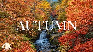 Late August Turns Golden 4K 🍁 A Scenic Autumn Escape with Soft Relaxing Piano screenshot 4