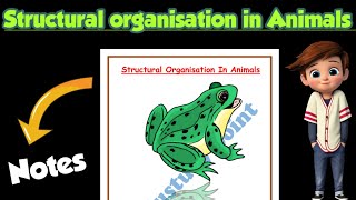 | Structural organisation in Animals| Best Handwritten Notes |Class 11| Biology @Edustudy_point