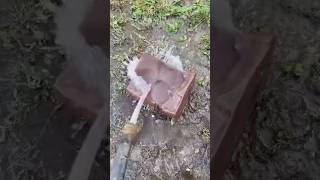 Why You MUST Wash Your Horse s Salt Blocks