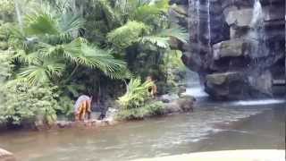 Universal Orlando Islands Of Adventure | Jurassic Park River Adventure  | Front Seat POV HD