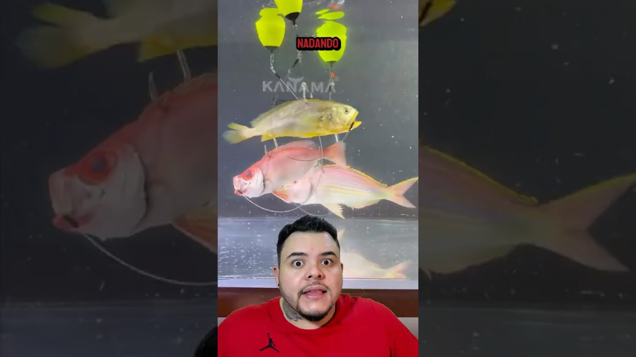 ISCA DE PEIXE ZUMBI!