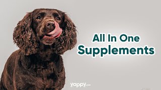All In One Supplements For Dogs | Yappy.com