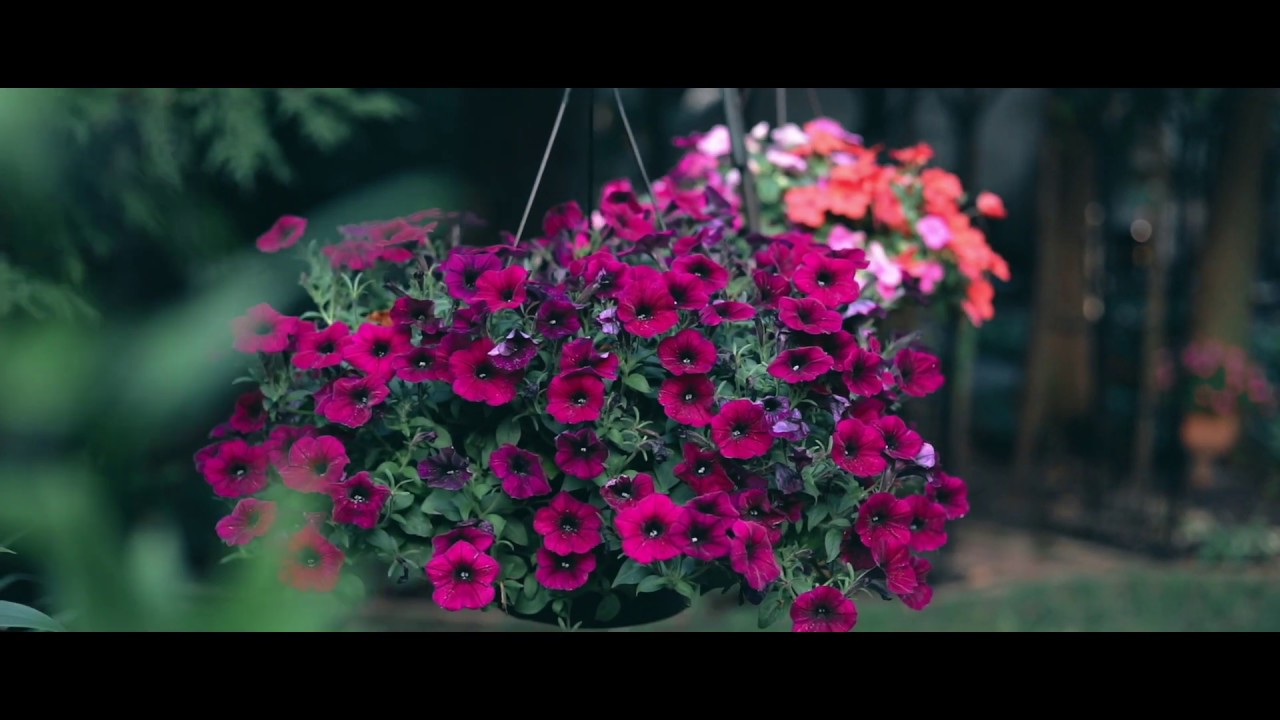 Welcome To The Garden At The Vrooman Mansion bed and breakfast montauk