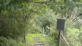 Bos T Ename- Mariette Thielemanspad