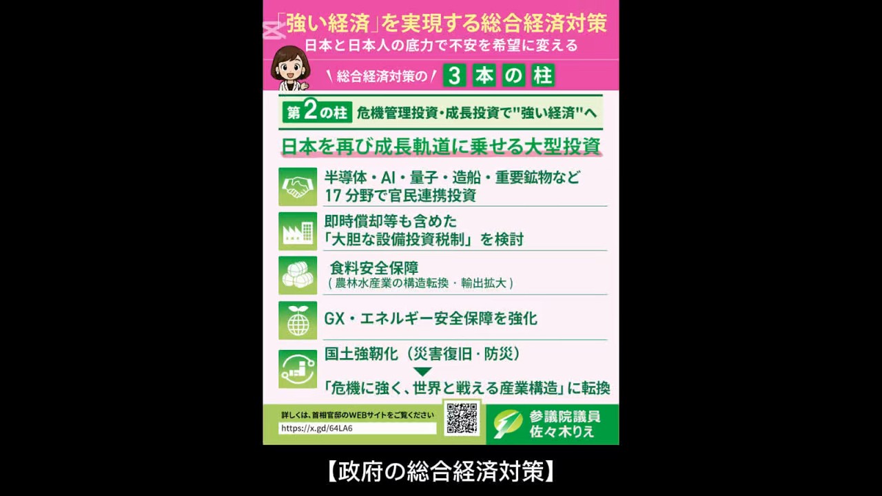 政府の総合経済対策】②〈第2の柱：危機管理投資・成長投資〉 #日本維新の会 #佐々木りえ #維新 #政治 #国会 - YouTube
