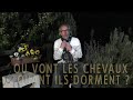 Miniature de la vidéo de la chanson Où Vont Les Chevaux Quand Ils Dorment