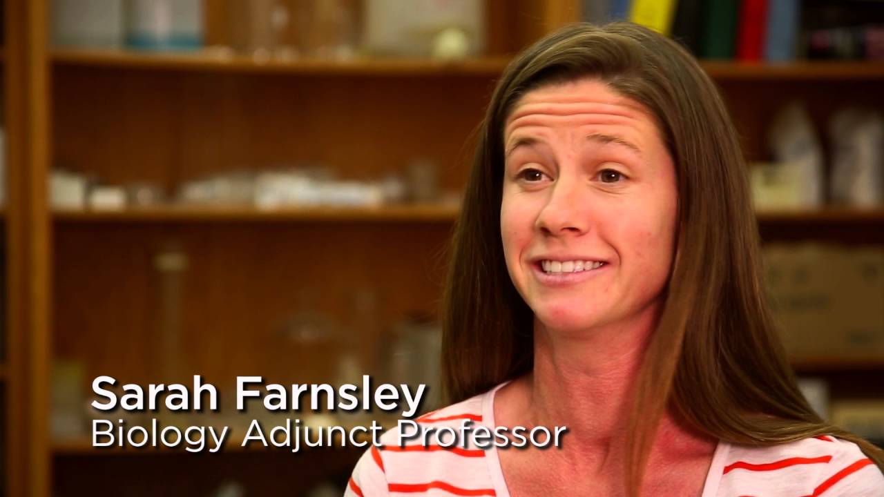 Dr Hope Klug NSF Research Grant