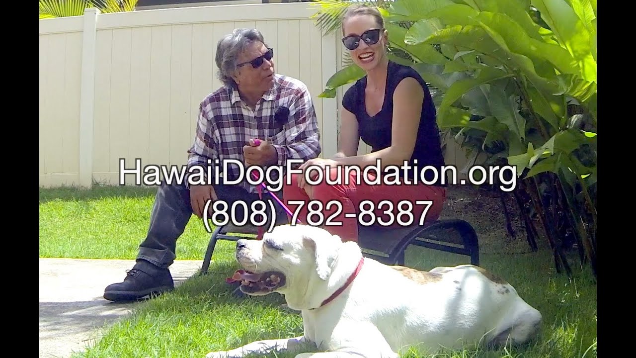 dog adoption mauritius Hawai'i Dog Foundation 