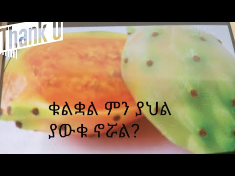 ቪዲዮ: ቁልቋል ምን ይከላከላል?