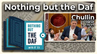 CHAZARAH - Chullin Daf 47 | "Nothing but the Daf" with R' Eli Stefansky