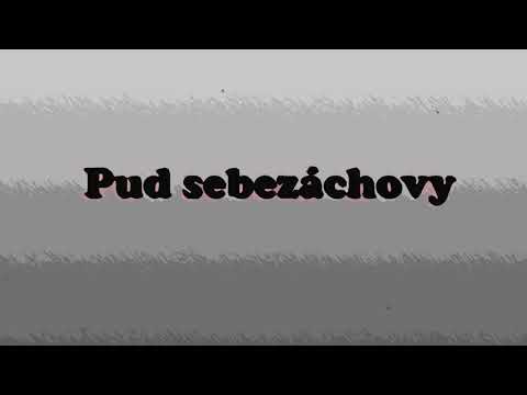 Video: Pud Sebezáchovy