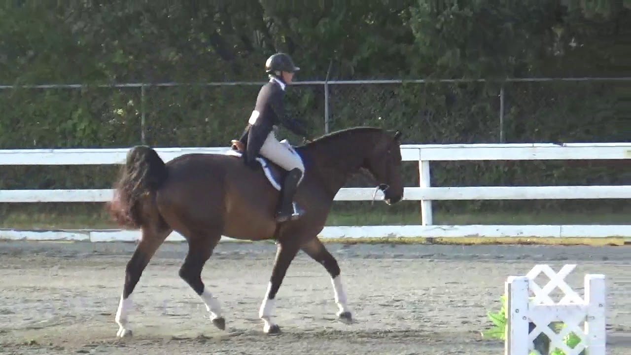 Sunday Best Hunter Derby Winner Denise rode round one Tanya Rode the ...