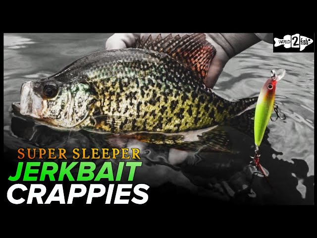 Crappie & Panfish Fishing