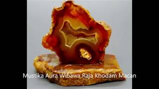 Mustika Aura Wibawa Raja Khodam Macan