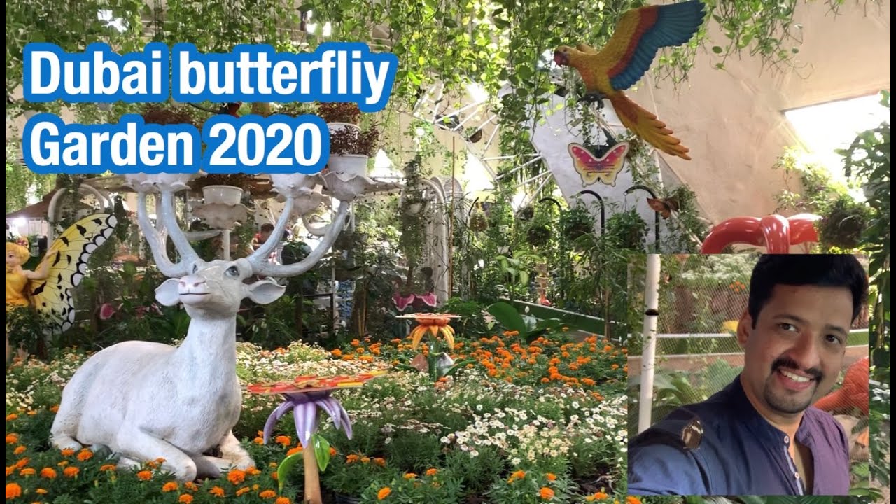 Dubai Butterfly Garden 2020World's Largest Covered Butterfly Garden