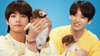 BTS Plays With Puppies While Answering Fan Questions screenshot 5