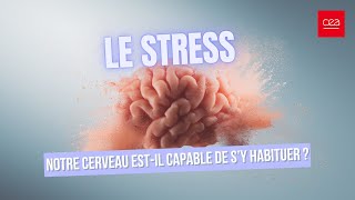 Download Lagu Comment notre cerveau s'habitue au stress… ou pas ? MP3 Download Lagu Comment notre cerveau s'habitue au stress… ou pas ? MP3