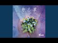 勿忘草