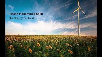Hasan Mohammed Salih   Surah An Naml The Antsحسن محمد صالح  سورة  النّمل