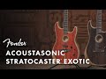 American Acoustasonic Stratocaster Exotics | American Acoustasonic Stratocaster | Fender