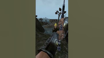 Killing the adoring fan in Morrowind every day until Skywind and Skyblivion are released Day - 995