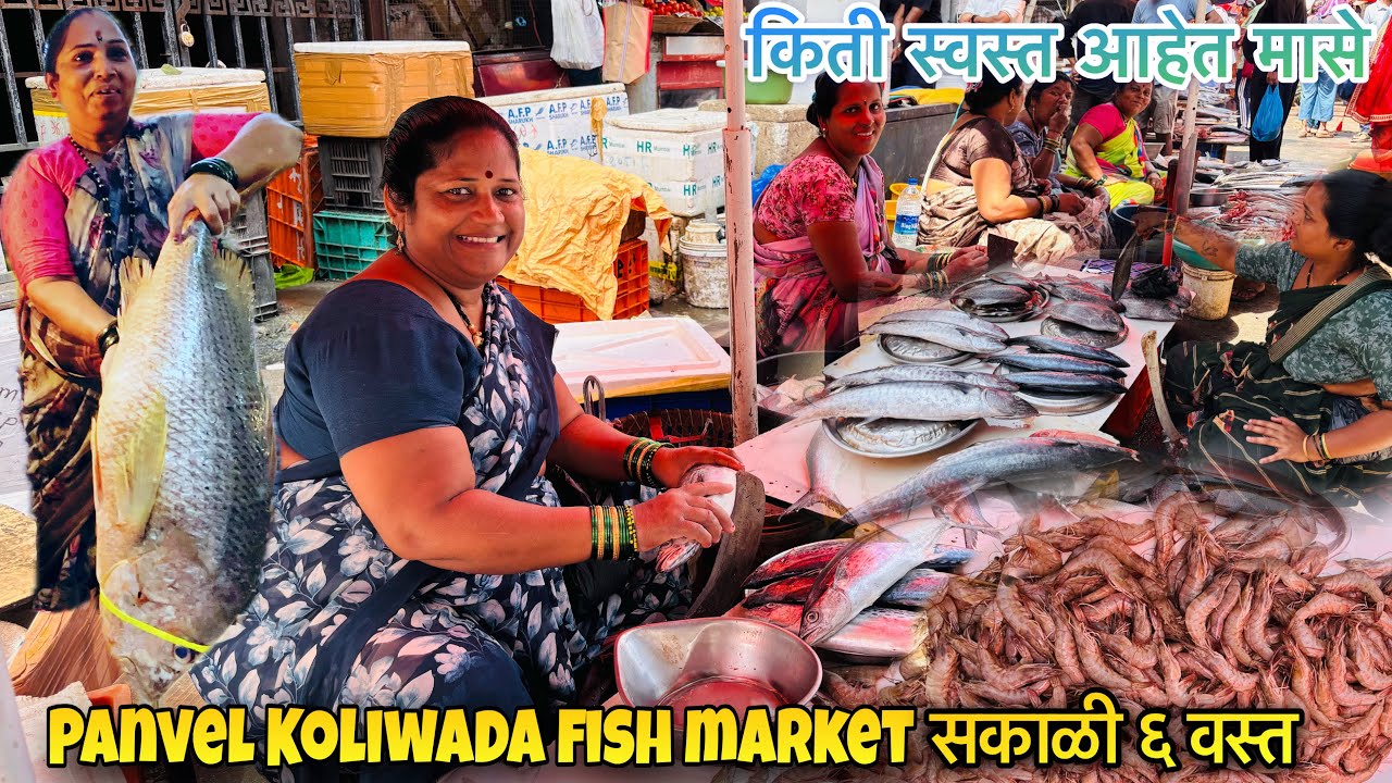 Panvel Koliwada Wholesale Fish Market | पनवेल उरण नाका होलसेल फिश मार्केट