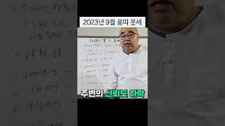 2023년 9월 용띠 운세에 대하여 shorts  용띠운세 용띠 띠별운세 운세 운세상담 띠별궁합 띠별 연애운 직장운 더큼학당