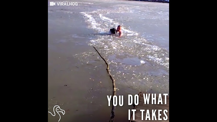 Man Breaks Through Icy Water With His Hands To Rescue Trapped Dog