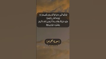 سورة التحريم الآية ٦ و ٧ بصوت الشيخ محمد صديق المنشاوي