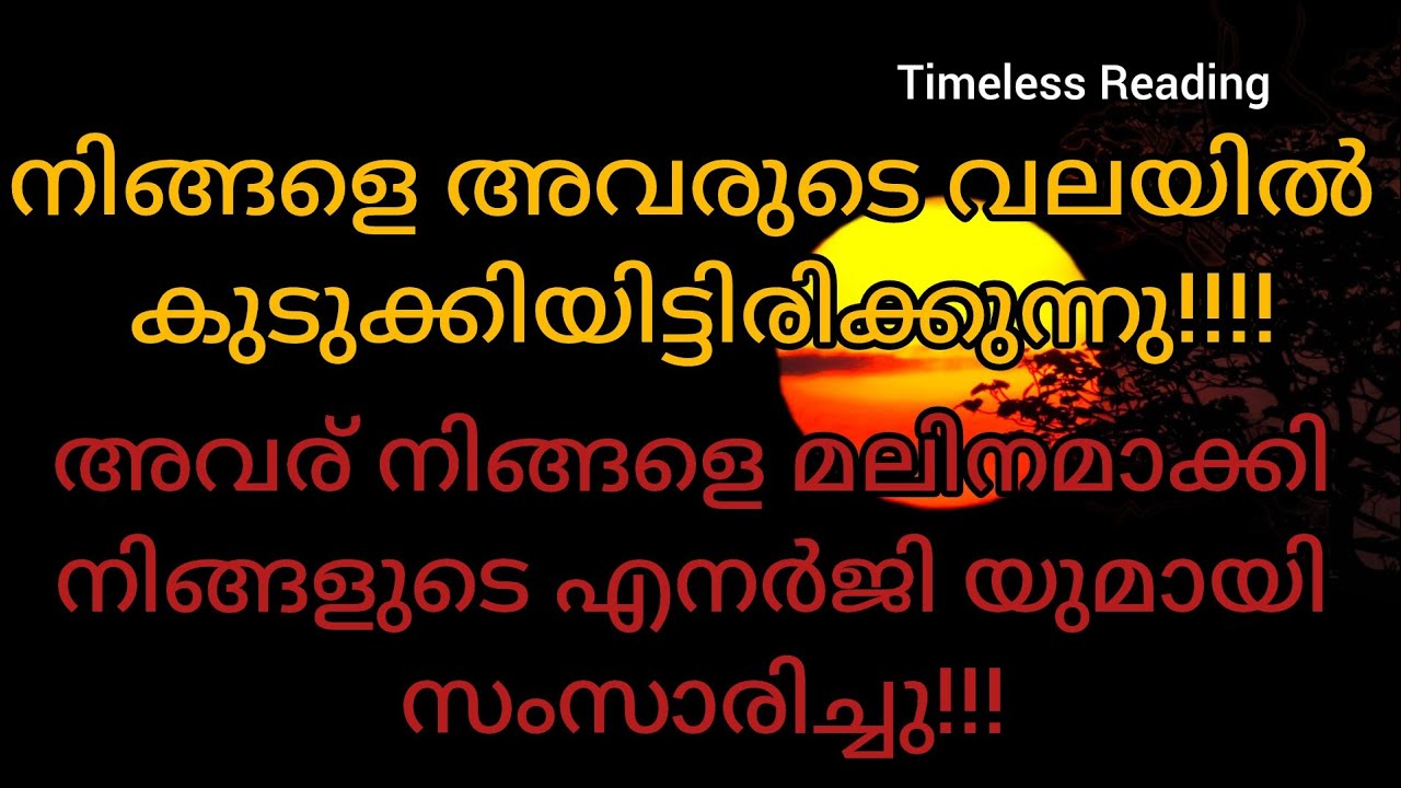 അവരുടെ വശീകരണ വലയത്തിൽ നിങ്ങളെ കുടുക്കിയിട്ടിരിക്കുന്നു,വേദനയിൽ പോലും നിങ്ങളെ കുറ്റം പറയുന്നു #tarot